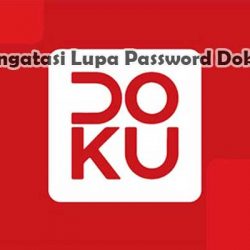 Cara Mengatasi Lupa Password Doku Wallet