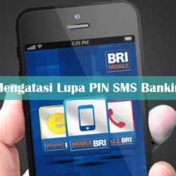 Cara Mengatasi Lupa PIN SMS Banking BRI