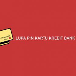 Lupa PIN Kartu Kredit Bank Mega dan Cara Mengatasinya