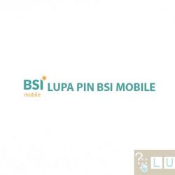 Lupa PIN BSI Mobile