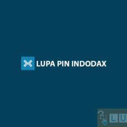 Lupa PIN Indodax