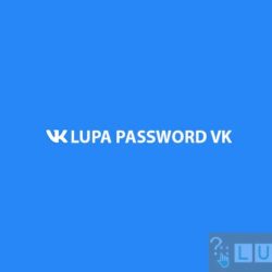 Lupa Password VK